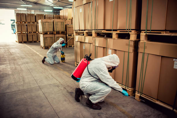 Reliable Gresham, OR Pest Control Solutions