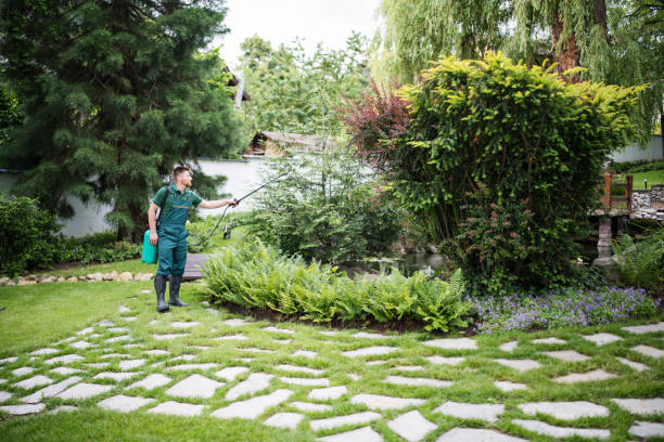 Pest Prevention Services in Gresham, OR